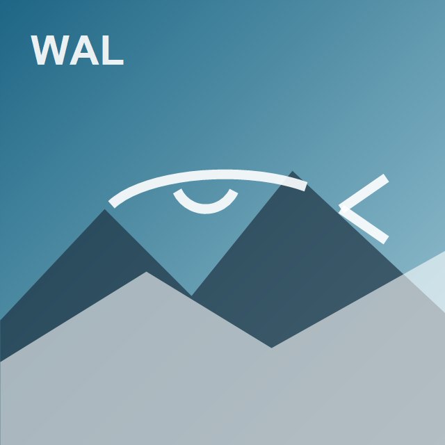 Walfluke vor der Küste Islands